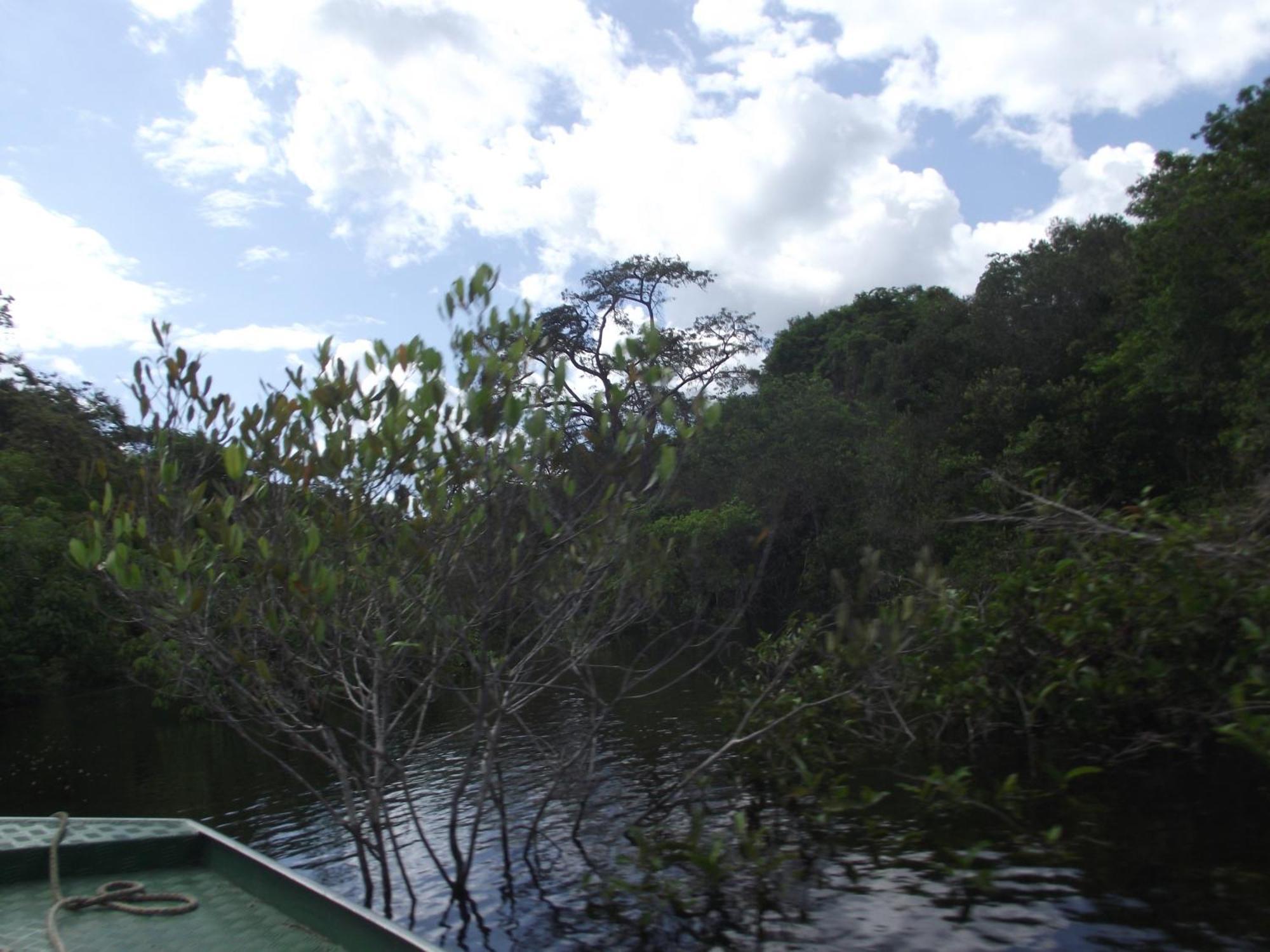 Amazon Arowana Lodge Careiro Exterior foto