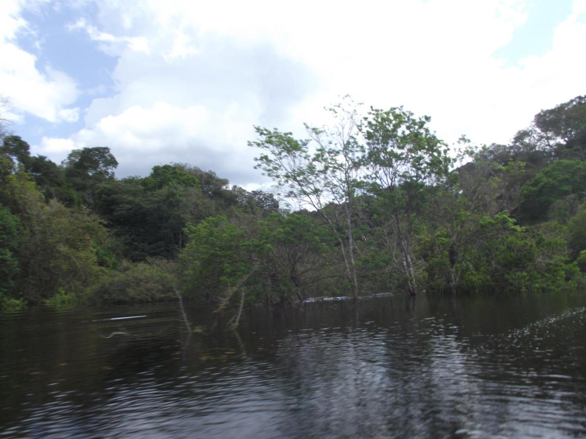 Amazon Arowana Lodge Careiro Exterior foto